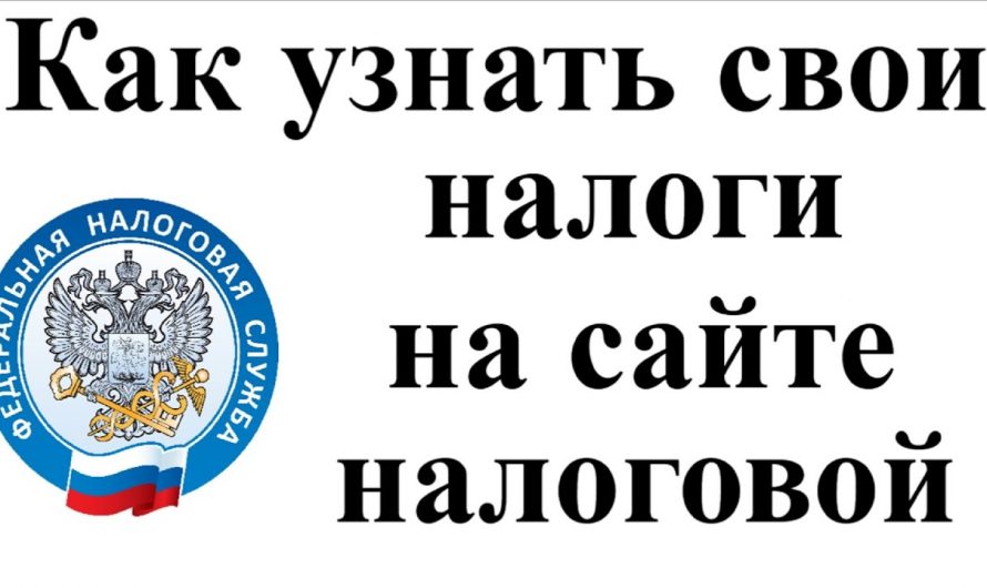 Как узнать размер налога на землю для физических лиц